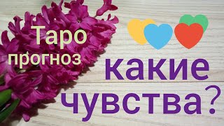 Таро прогноз КАКИЕ У НЕГО ЧУВСТВА К ВАМ как вас видит Онлайн гадание на картах Таро asmr видео Hygge