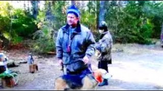 П.Ч. русская гончая  Арфа Мурыгина А. В. Осенние голоса на Вятке- 2013.