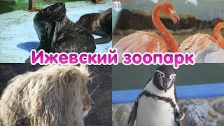 Ижевский зоопарк | Государственный зоологический парк Удмуртии - ПОЛНАЯ ВЕРСИЯ