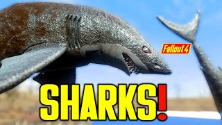 Fallout 4 - EPIC SHARK MOD by M - FallShark, Raining Sharks, Land Sharks & More! - Xbox & PC Mod