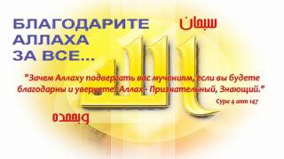 БЛАГОДАРНОСТЬ. Абу Яхья Крымский