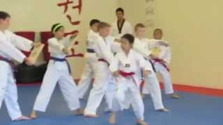 Taekwondo Kids' Demo Team