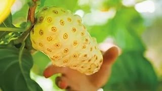 Бодрость без кофеина!