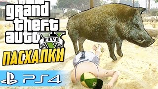 GTA 5 Пасхалки и секреты (PS4 и xBox One) - Играем за Свинью!