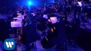 Miguel Bosé - Muro (en directo-Mexico)
