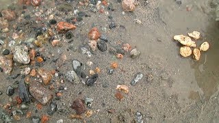 Богатые признаки золота на речке