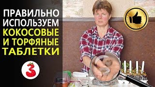 Как правильно использовать кокосовые и торфо - перегнойные таблетки, мини - теплички.