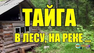 В ЛЕСУ | НА РЕКЕ  | ТАЙГА