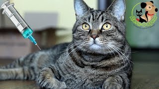 10 популярных вопросов о шприцах и уколах