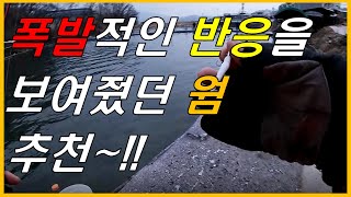 송어낚시, 폭발적인 반응을 보여줬던 웜 추천!!