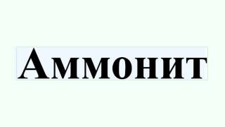 Аммонит
