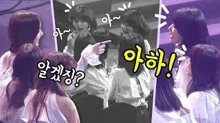190115 궁금한 사쿠라, 알려주는 멤버들 SAKURA, QnA, members : 아이즈원 IZ*ONE 가수대기석 : Edited fancam : 고척돔