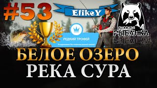 Редкий Трофей! • Белое Озеро • Фарм Серебра • Фидерная ловля • Река Сура • Русская Рыбалка 4 #53