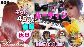 【1日密着】子なし主婦の休日・モーニングルーティン～ナイトルーティン・動物系YouTuber 趣味動画｜routines japan lifestyle  japanese