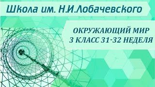 Окружающий мир 3 класс 31-32 неделя Нервная система