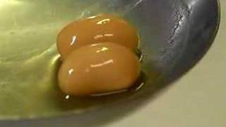 How to make miso paste.  - 味噌を作るよ。