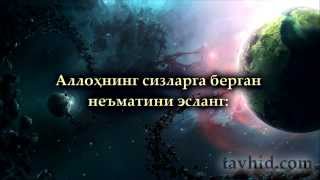 Ихвонул Муслимийн жамоатининг учта оқими (йўналиши)
