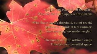 "Meditation Quilt" Sedona, AZ, Oak Creek Canyon - Poetry: Elizabeth Bishop; Native Flute: Vibhas
