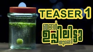 Nellikka Malayalam Teaser 1 -  Atul Kulkarni , Parveen , Deepak Parambol