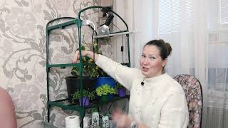 Стеллаж для рассады легко собрать. Удобно использовать дома и в саду