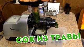 ? Сок из травы ? Тест шнековой соковыжималки FoodMatic Slow Juicer PSJ10H