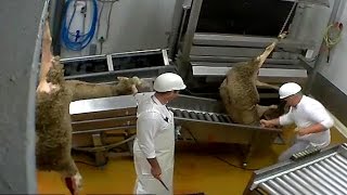 Abattoir made in France - certifié bio - Le Vigan