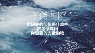 李傑占卜：如何找回自己「感覺」缺失的部份/缺失了什麼/發生了什麼/如何找回