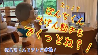 【みんなも一緒に！テレビ体操】ぼんちくんの日常【都城市PRキャラクター】
