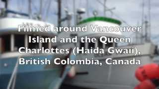 Salmon fishing BC coast