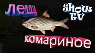 (Русская рыбалка 4) #ЛЕЩ  Оз.комариное