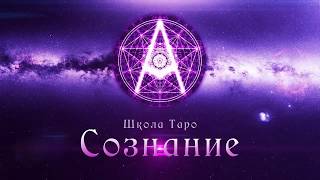 Общий расклад. Для чего дана ситуация? Ирина Шапошникова