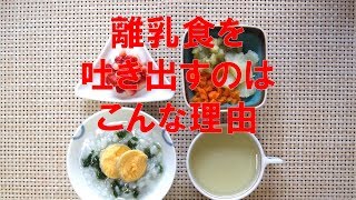 【離乳食】せっかく作ったのに…離乳食をベッと出すのは良い証拠！