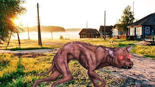 Существует ли чупакабра