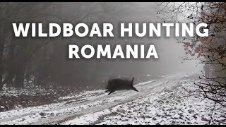 ?Batidas de Jabalíes en Rumania ? Todo LANCES!!! | Videos de Caza