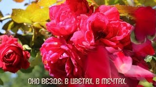 ПУСТЬ В ТВОЕЙ ДУШЕ  ВСЕГДА ЦВЕТУТ ЦВЕТЫ!