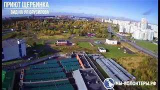 Октябрь 2017, приют Щербинка и ул.Брусилова, памяти Мишки посвящается..
