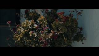 Magic Lantern 3K on the 5D Mark III