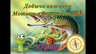 Русская Рыбалка 4.  Добыча наживок.  Мотыль и Водоросли.  Выгода? или Затрат?а