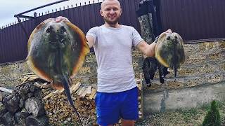 Ночная Подводная охота. о.Хорлы. Чёрное море. Начало июля. Spearfishing in black sea.