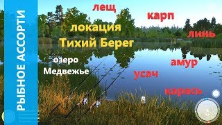 Русская рыбалка 4 - озеро Медвежье - Рыбное ассорти