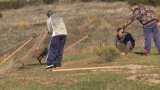 Silvestrismo.Capturas al paso con Red Abatible 2, Año 2013(HD)