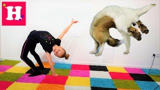 ЙОГА ЧЕЛЛЕНДЖ С ЖИВОТНЫМИ 2 ? Одиночные позы для Николь. YOGA CHALLENGE the Best Challenges