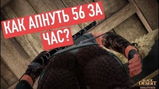 КАК ПРОКАЧАТЬСЯ С 1 ДО 56 ЗА ЧАС? BLACK DESERT ONLINE | Легальный способ