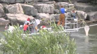 Electrofishing Credit River Lake Ontario Canada TRCA Boat