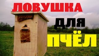 Делаем ловушку для пчёл / роёв. Быстро и просто.Пчеловодство..