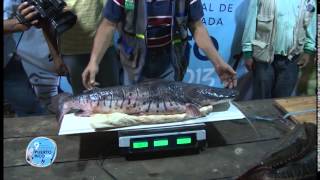 Bolivia Pesca Videos Pando 4