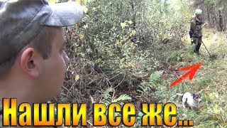 НАШЛИ ИХ В ЛЕСУ!!!коп на старой дороге-ОЧУМЕЛИ от такого поиска монет)))