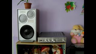Подарок в детский сад (Ремонт и доработка акустики 25АС-109)
