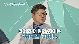라거 vs 에일의 차이는 '효모의 위치'가 만든다! TV정보쇼 알짜왕 80회