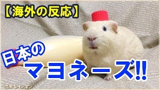 【海外の反応】海外で日本のマヨネーズが大人気！アメリカ人「日本のマヨネーズに合わない食べ物なんか、この世界には存在しないぜ」